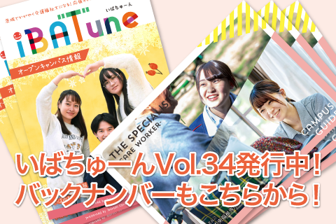 いばちゅーん パンフレットなど